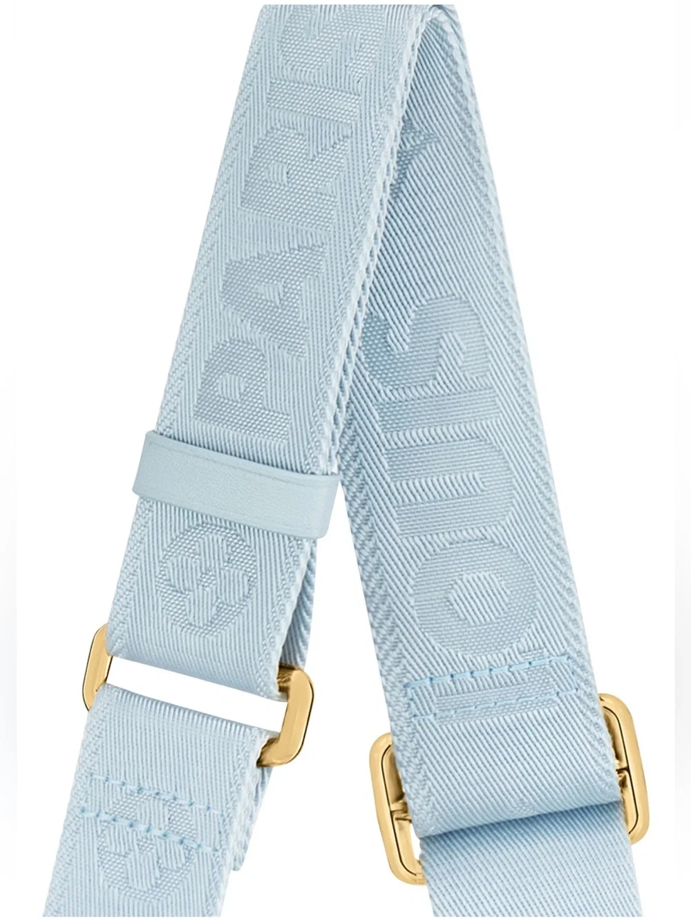 Louis Vuitton Wallet on Strap Bubblegram Crossbody *Limited Edition*